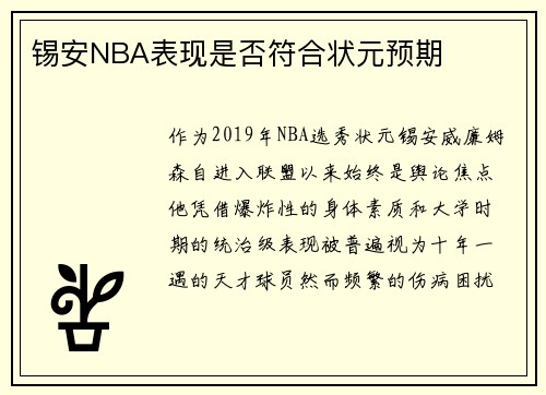 锡安NBA表现是否符合状元预期