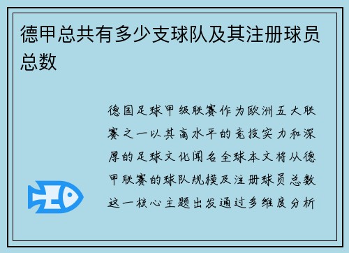德甲总共有多少支球队及其注册球员总数